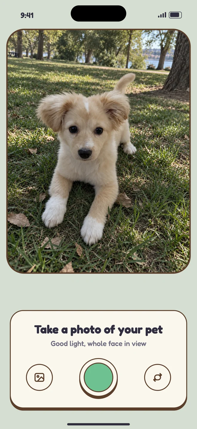 The Loaf camera with a photo of Cheddar, a cream puppy, in the viewfinder