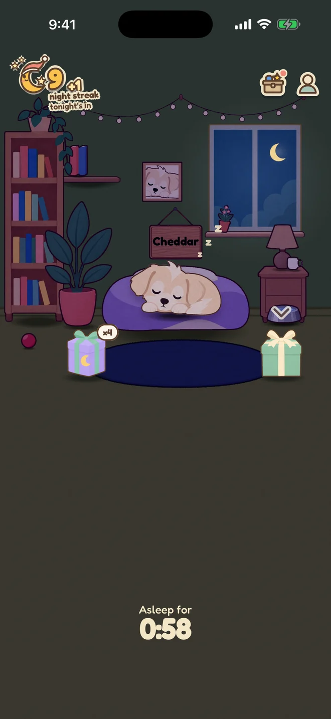 The same room with the lights out and Cheddar asleep on his bed